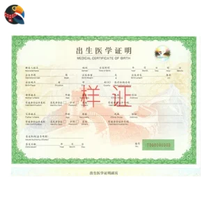Birth Certificate (on and after January 1, 1996) (Mainland)