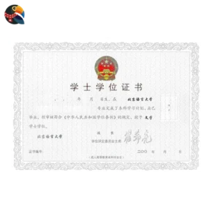 University Degree Certificate