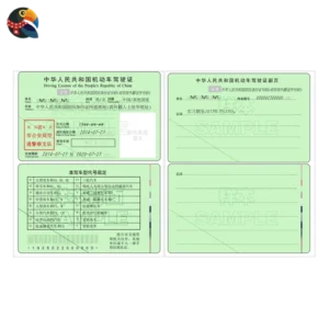 Driver's Licence (Mainland)