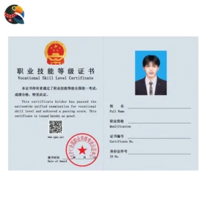 Professional Qualification Certificate