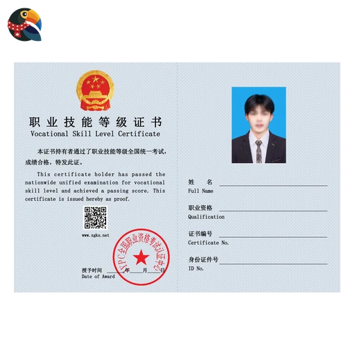 Professional Qualification Certificate