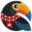 Toucan Translation